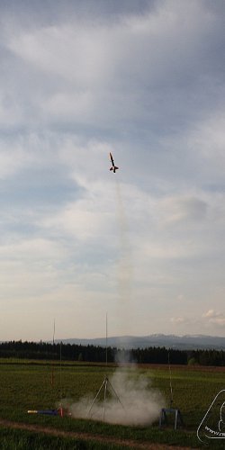 2012 Svojek mirek patek